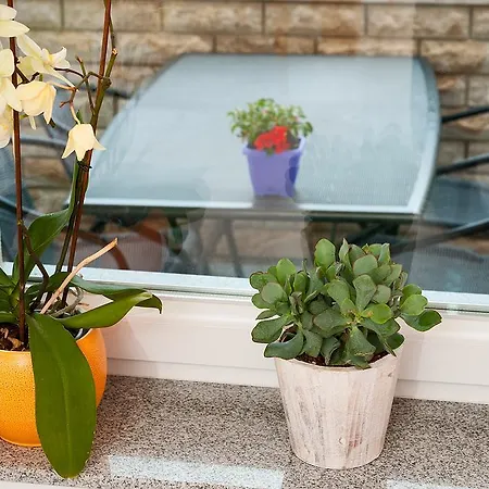 Marta Apartamento Baška Voda